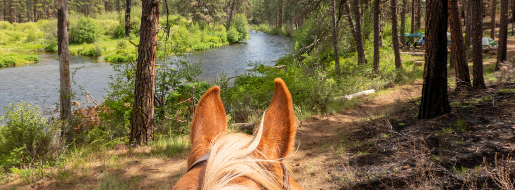 Metolius River Loop – NW Horse Trails