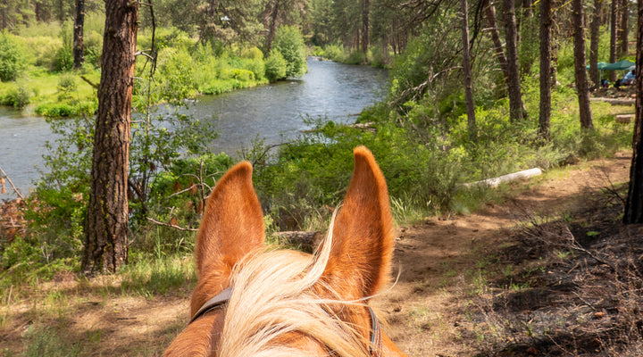 Metolius River Loop