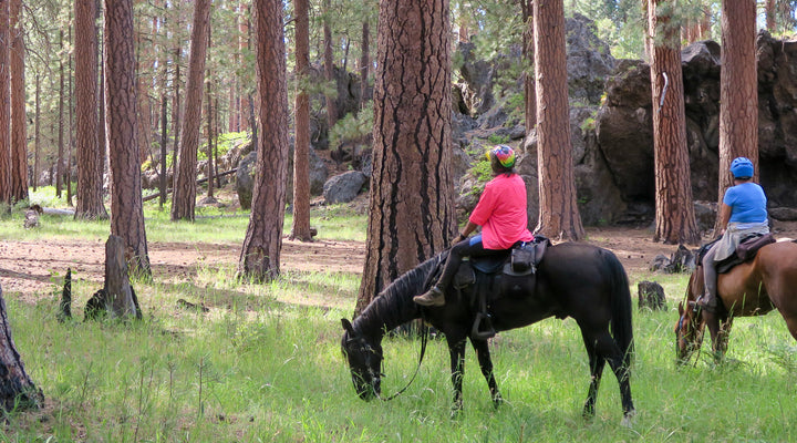 Riding the Metolius-Windigo Trail