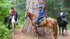7 Great Reasons to Ride Mt. Adams Horse Camp