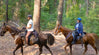 Horsemen's Loops at Mt. Adams Horse Camp