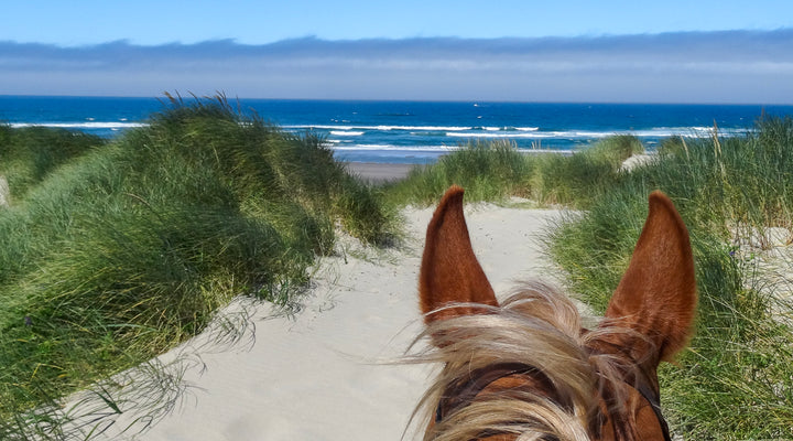 Nehalem Bay State Park