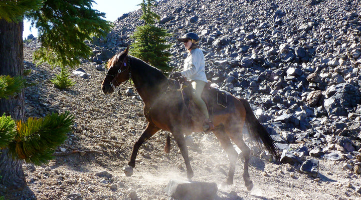 Newberry Crater — South Rim Loop