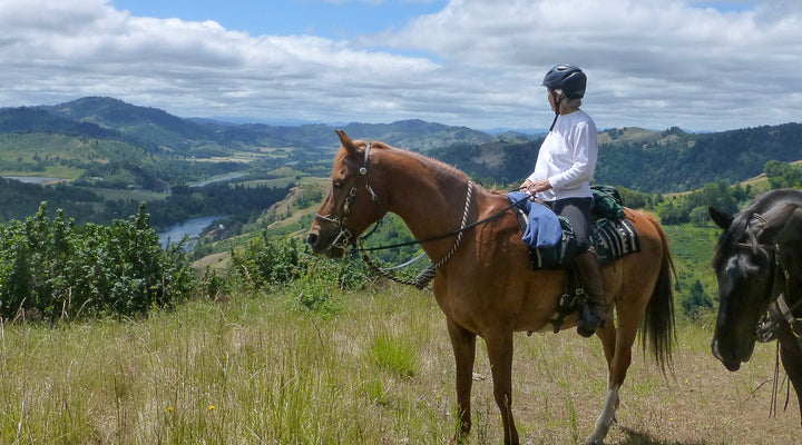 North Bank Habitat Management Area