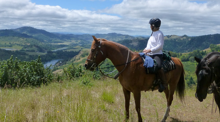 North Bank Habitat Management Area