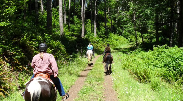 Northrup Creek Horse Camp