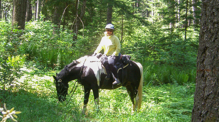 Onion Way Trail at Sam Brown Horse Camp