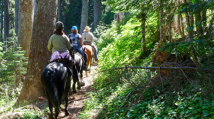 PCT to Lolo Pass, Lost Lake Horse Camp