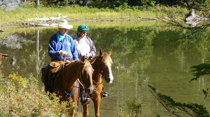 Indian Heaven Wilderness from Placid Lake