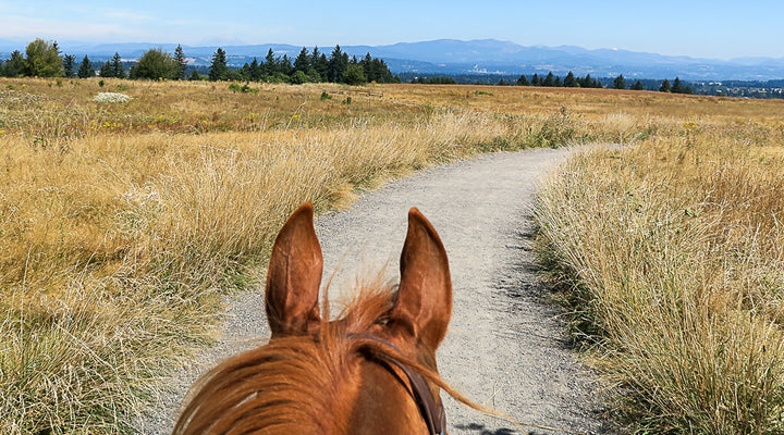 Powell Butte Nature Park