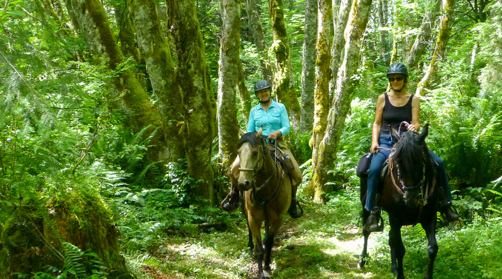 Sahara Creek Campground