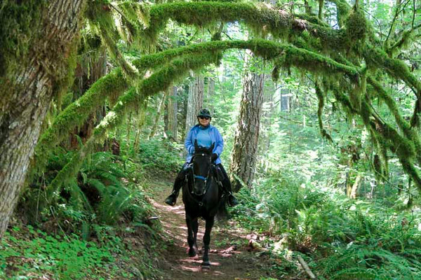 Santiam Horse Camp