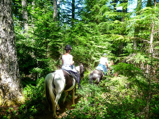 Santiam Horse Camp