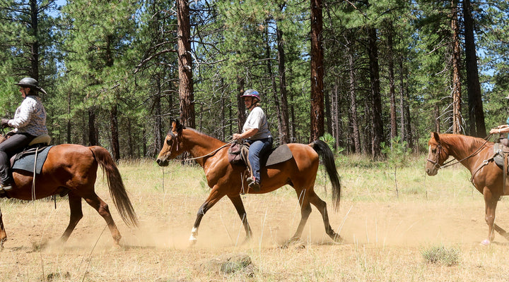 Sheep Springs Horse Camp