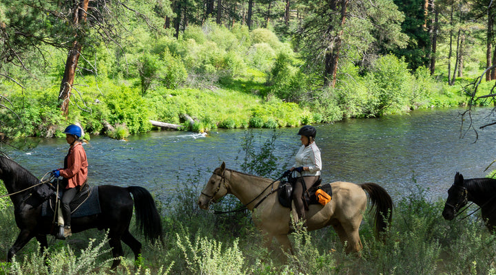 Nine Reasons to Love Sheep Springs Horse Camp