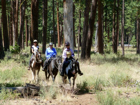 Sheep Springs Horse Camp