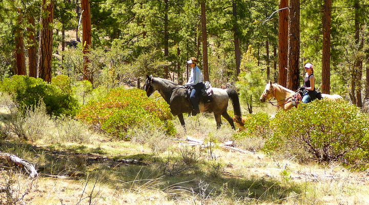 Silver Creek Marsh Campground