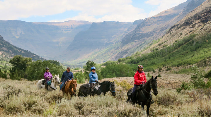 South Steens Campground