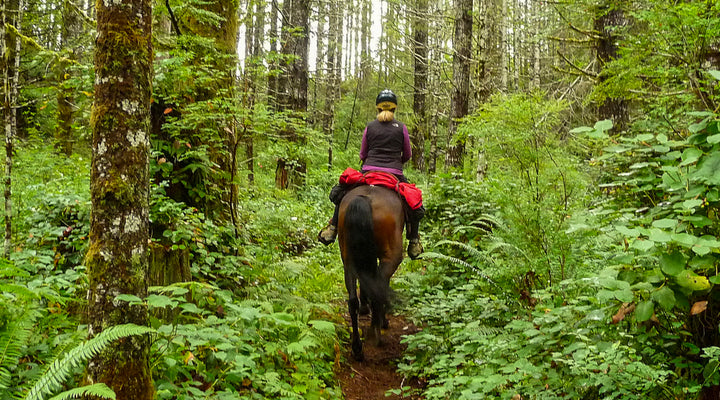 Stagecoach Horse Camp