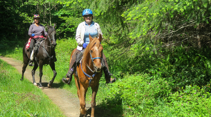 L.L. (Stub) Stewart State Park