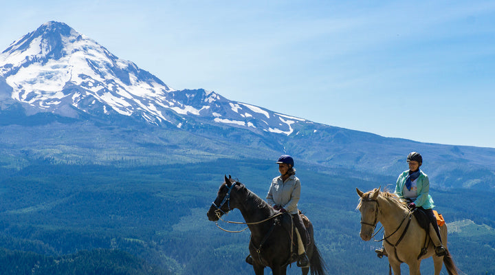 Surveyors Ridge Trail North