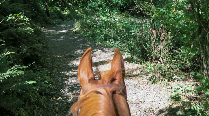 Milo McIver State Park