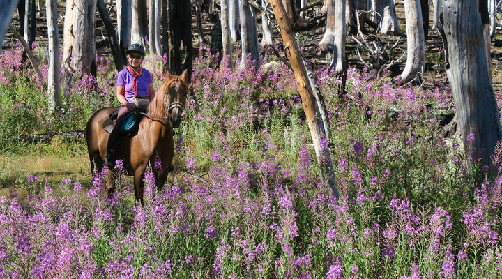 Wilderness Permit Requirements at Three Creek Meadow Horse Camp