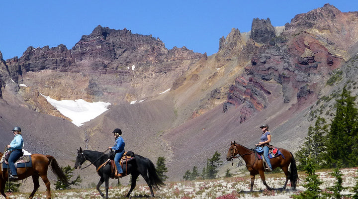 Todd Creek Horse Camp
