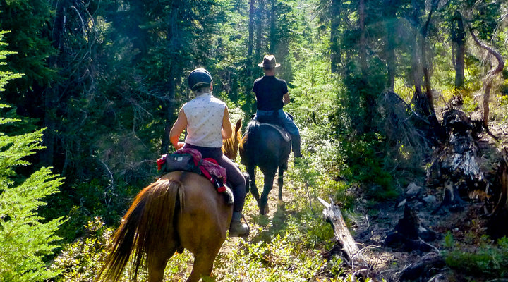 Tom and Jerry/Mudjekeewis Loop