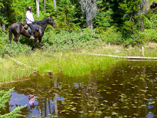 Triangle Lake Horse Camp