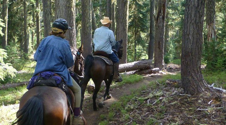 Waldo Lake & Harralson Horse Camp