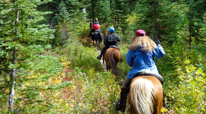 Coleman Weedpatch Loop