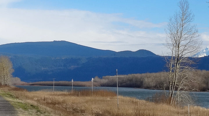 Washougal Dike Trail
