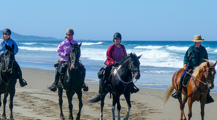 Six Great Reasons to Ride at Wild Mare Campground