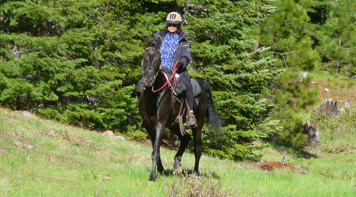 Willow Prairie Horse Camp
