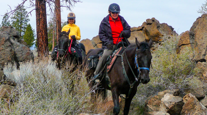 Five Winter Trails Near Bend