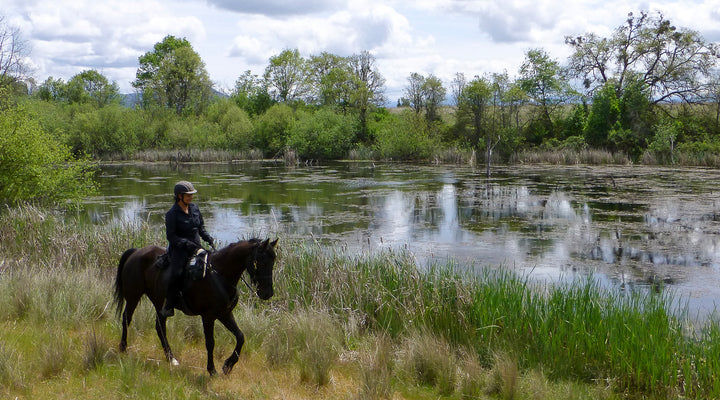 Five Winter Trails Near Medford and Grants Pass