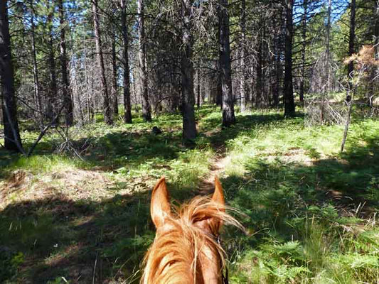 Bear Valley on the Metolius-Windigo Trail